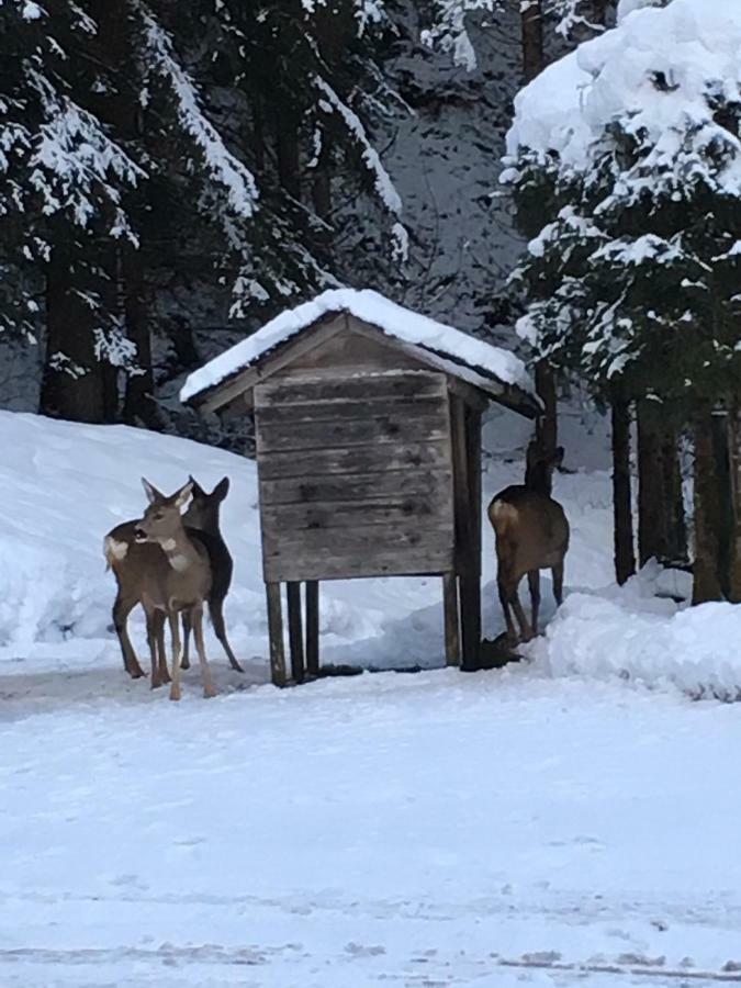 Ferienwohnung Bacher Oberkumbichl 900 Mayrhofen Zewnętrze zdjęcie